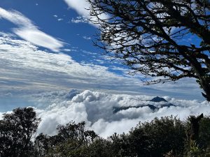 Biển mây-cuồn-cuộn-trên-đỉnh-Nhìu-Cồ-San