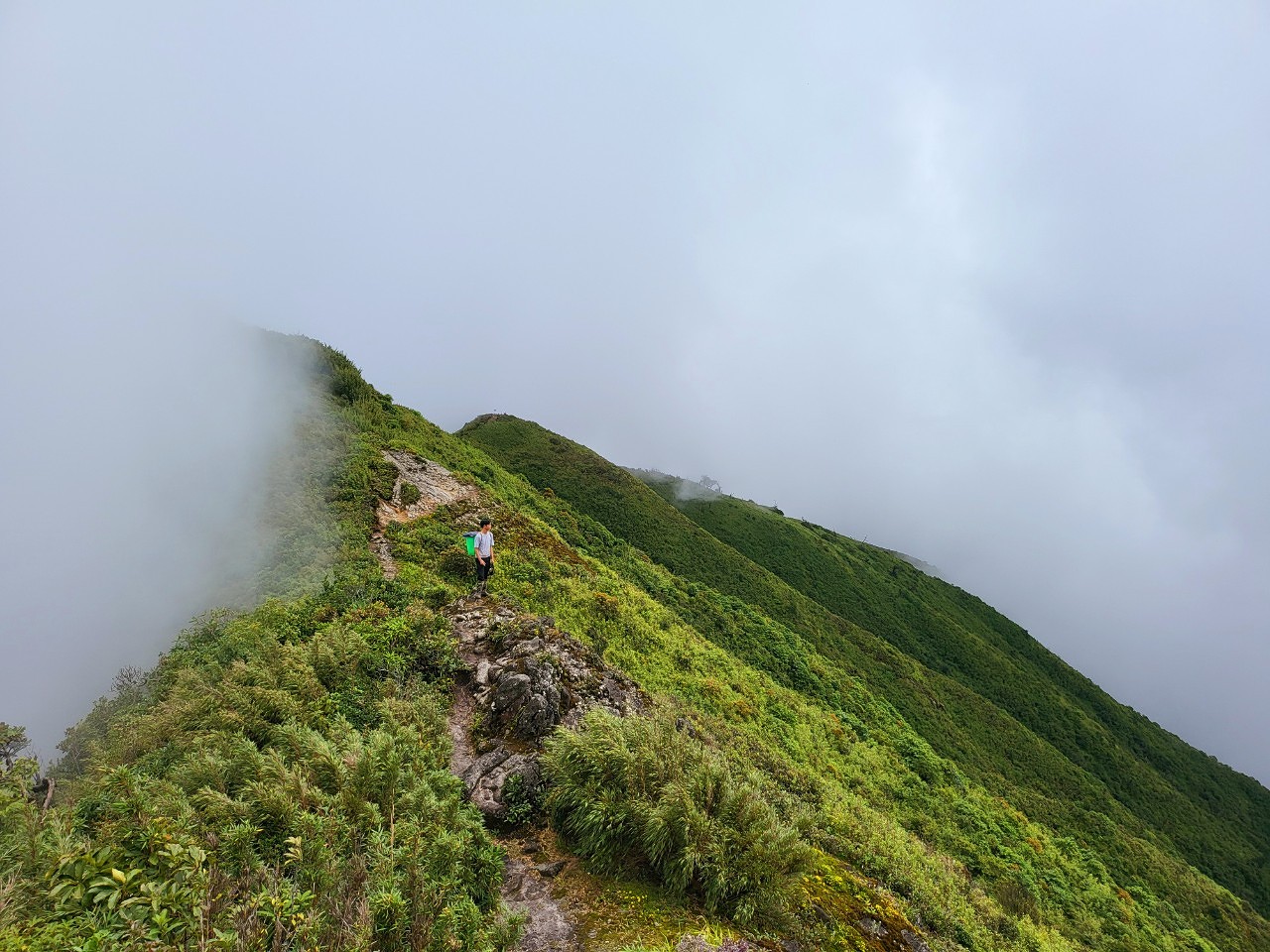 Đường-trekking-Ky-Quan-San-phủ-mây-mờ
