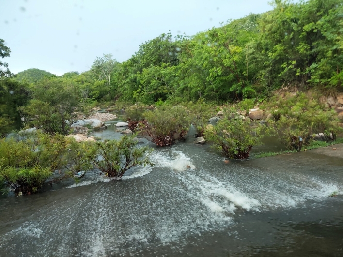 Một con suối trên đường hiking Tà Năng - Phan Dũng