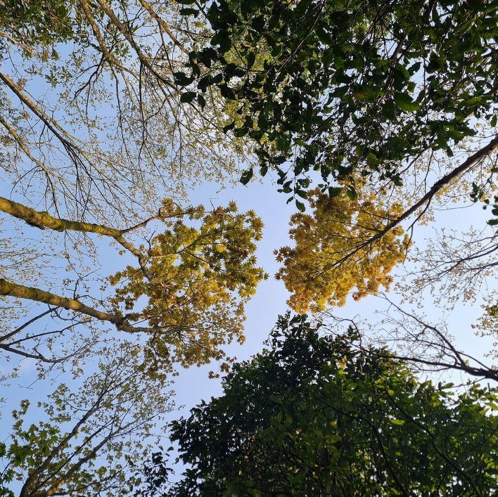 Bầu trời mùa thu khi trekking Tả Liên Sơn